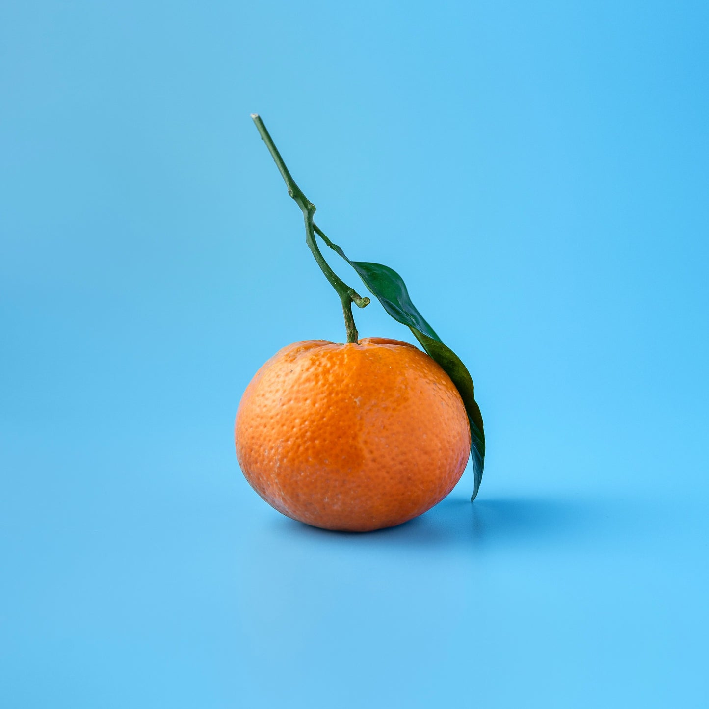 mandarin orange